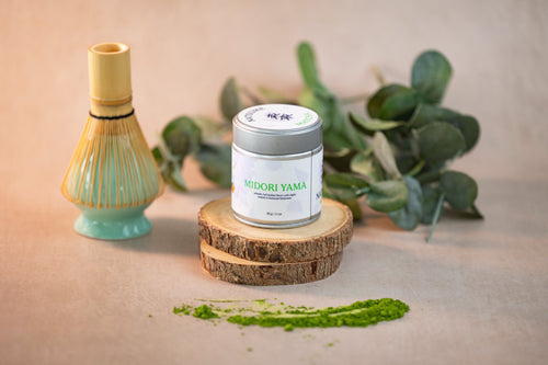 Matcha container and whisk on a wooden block with green leaves in the background